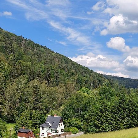 Ferienhaus Rosemarie Erlbach Vogtland Erlbach (Saxony) Exterior foto