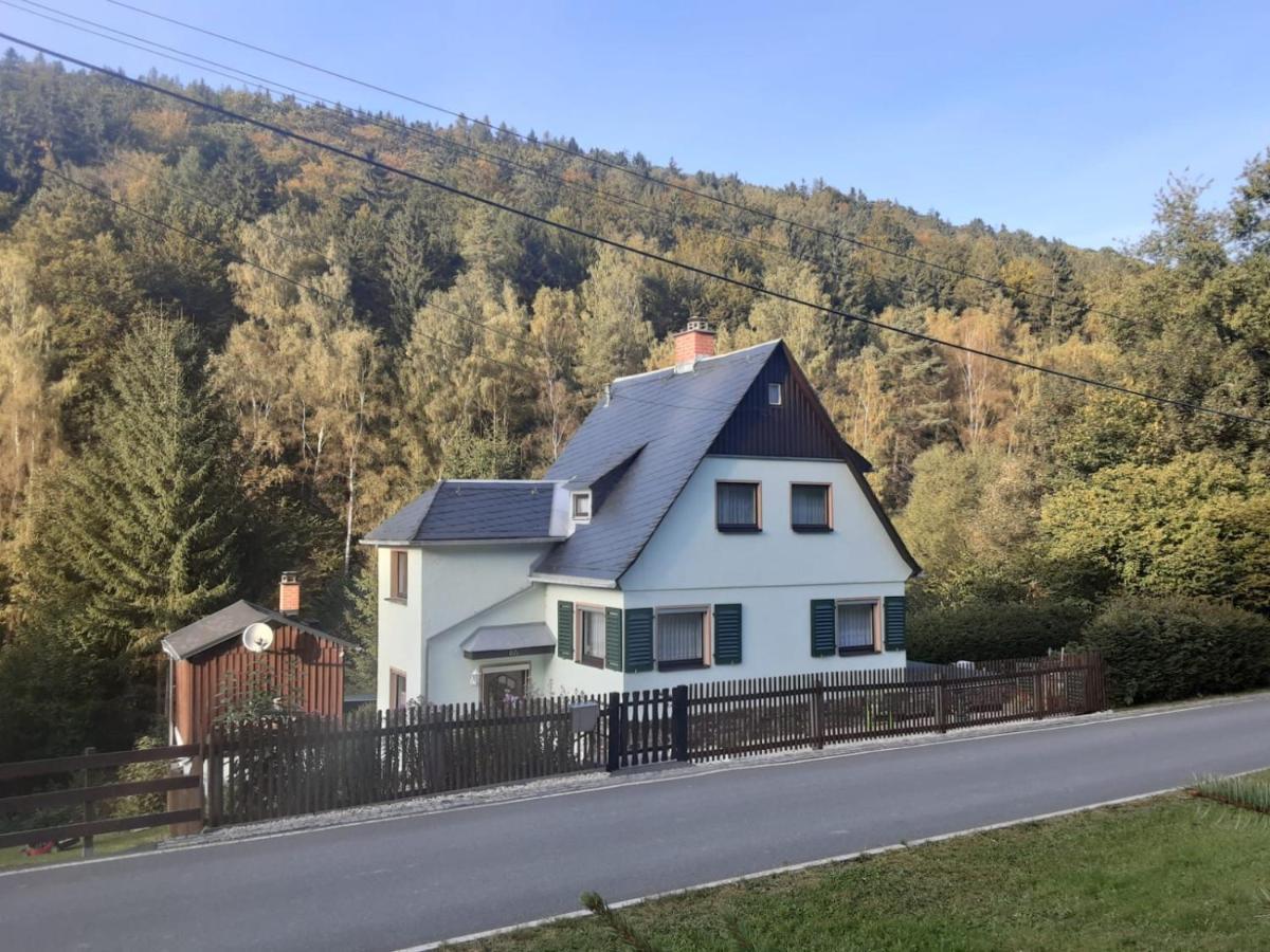 Ferienhaus Rosemarie Erlbach Vogtland Erlbach (Saxony) Exterior foto