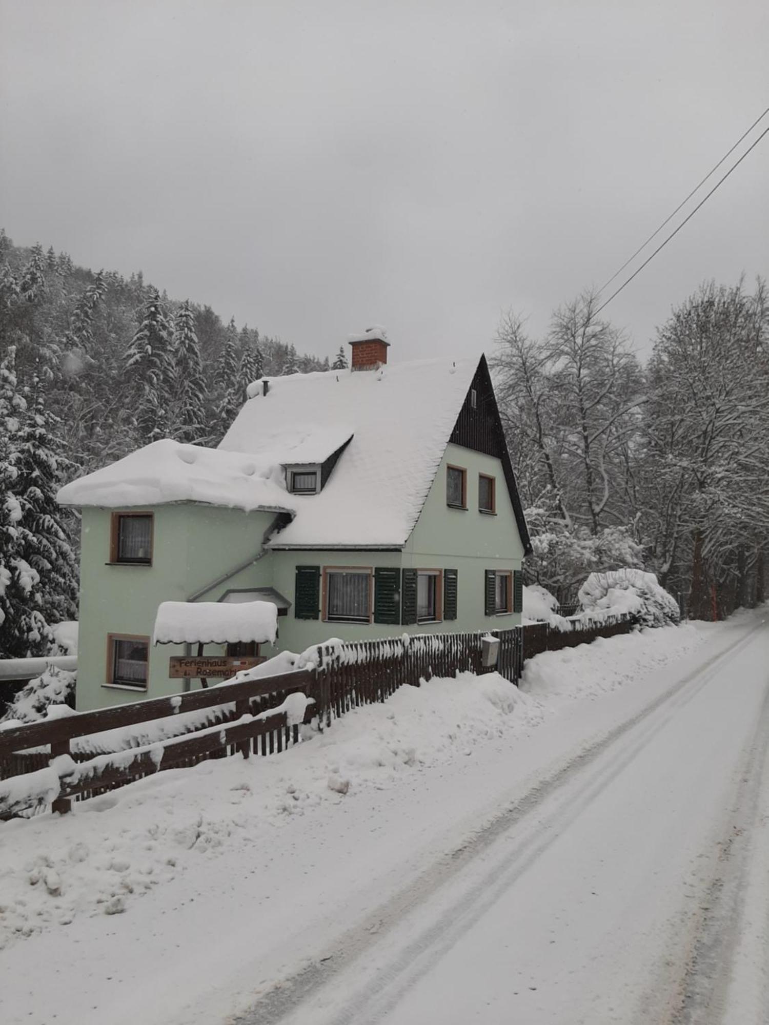 Ferienhaus Rosemarie Erlbach Vogtland Erlbach (Saxony) Exterior foto
